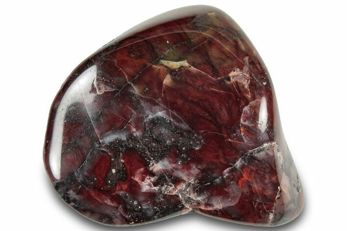 Polished Stromatolite (Collenia) - Minnesota #321969